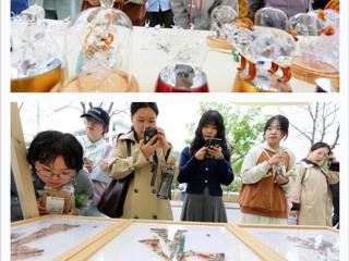 “学习强国”平台报道淮北市在永利官网开展“非遗文化进校园”活动 