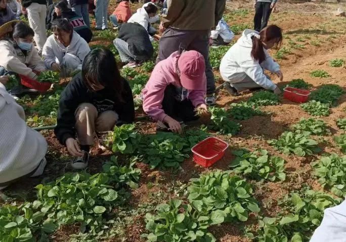 微信图片_20240914184939.jpg