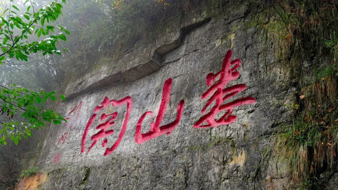 图片9.png